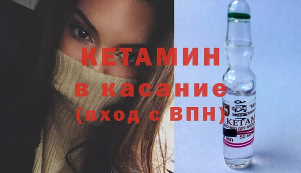 сатива Арсеньев