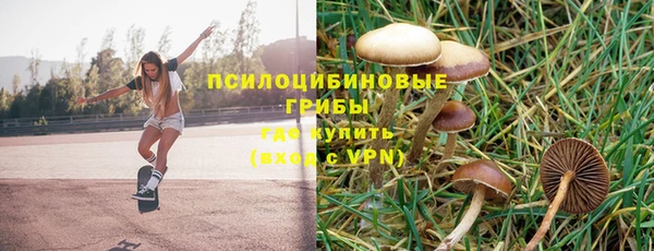 сатива Арсеньев