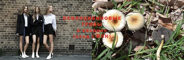 сатива Арсеньев
