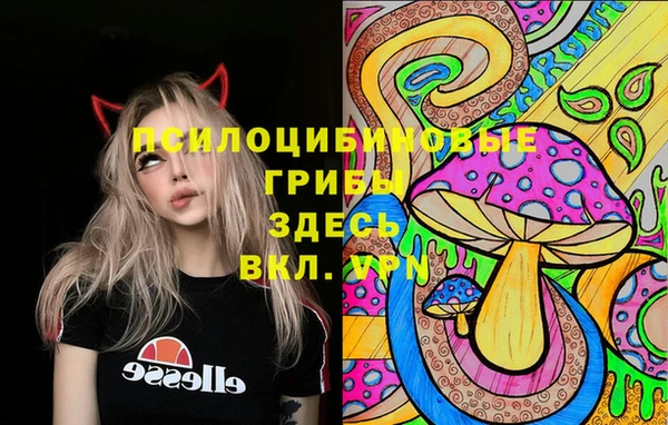 сатива Арсеньев