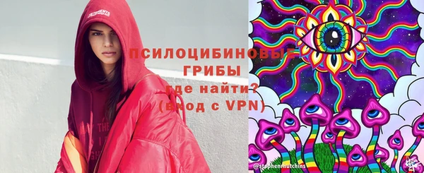 сатива Арсеньев