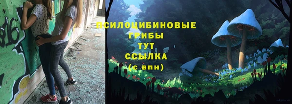 первитин Покачи