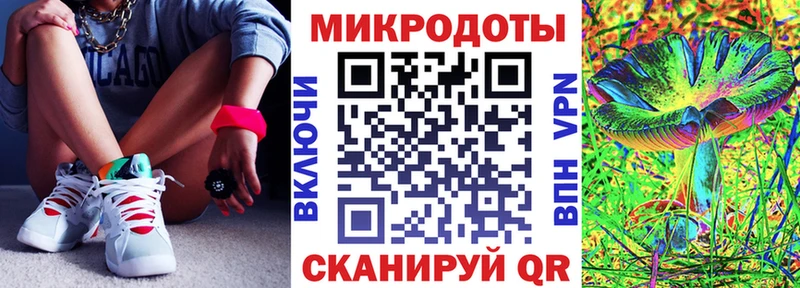 цена   Тогучин  Псилоцибиновые грибы Psilocybe 